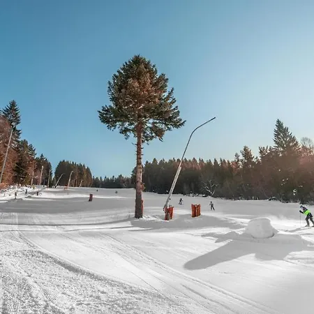 Penzion Alpina čertov