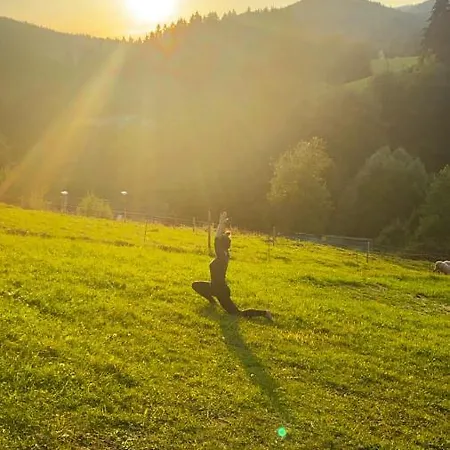 ゲストハウス Alpina Certov