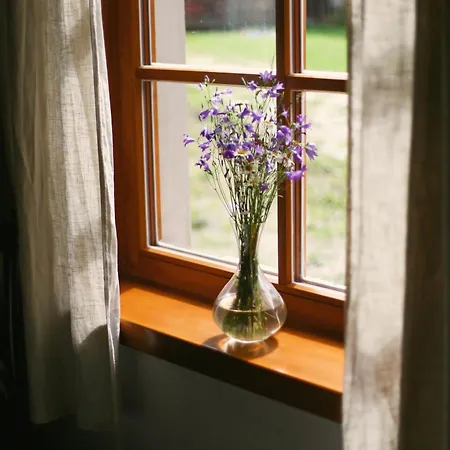 Alpina Certov 3* ラーズィ・ポット・マキトウ