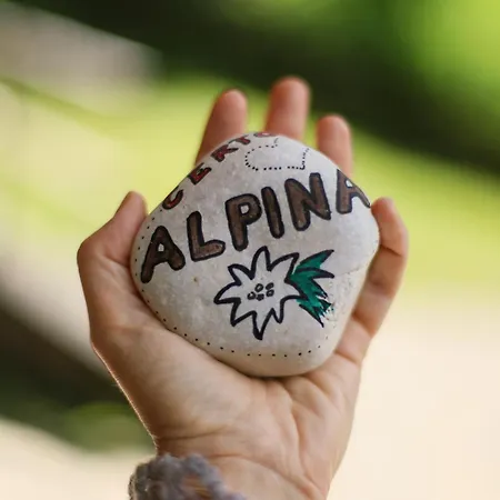 Alpina čertov