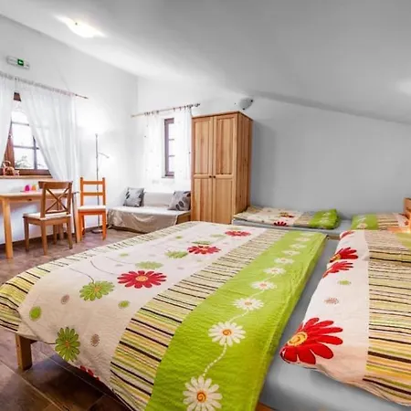 Alpina Certov ラーズィ・ポット・マキトウ