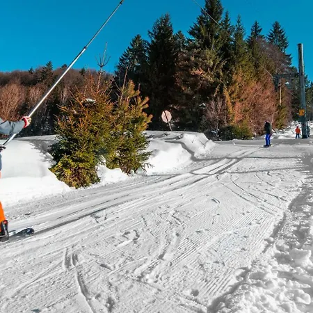 Alpina Certov ラーズィ・ポット・マキトウ