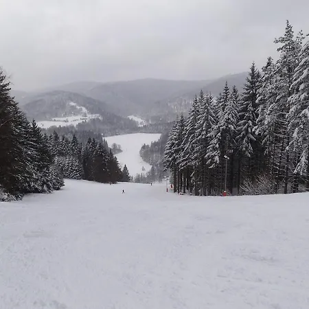 Alpina čertov Penzion 3*